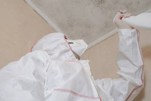 Best Residential Mold Remediation in Mangum, OK