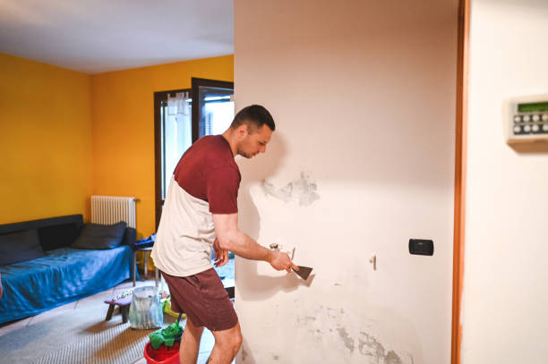 Best Basement Mold Remediation in Mangum, OK